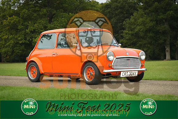 203-IMG-2