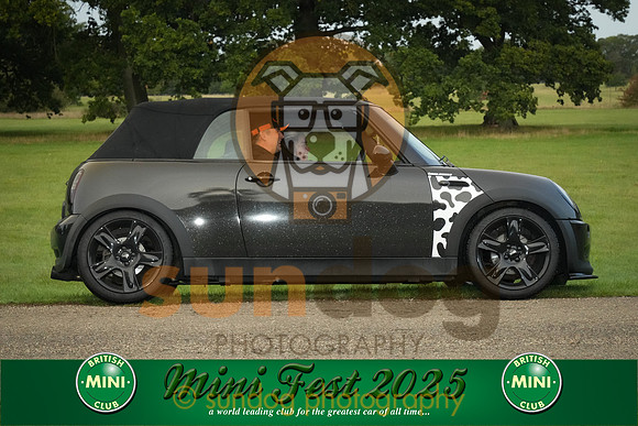 190-IMG-2