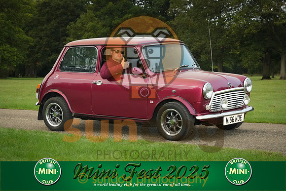 202-IMG-2