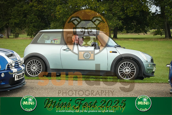 252-IMG-2