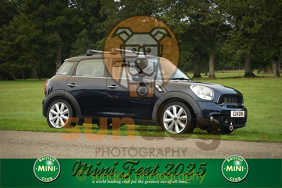 243-IMG-2