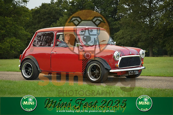 198-IMG-2