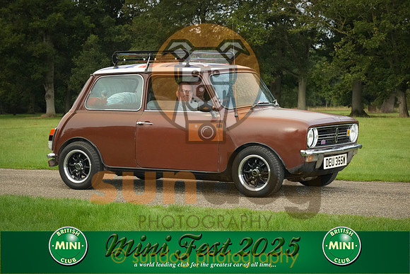 265-IMG-2