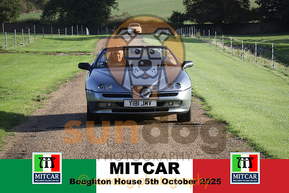 11-IMG-2