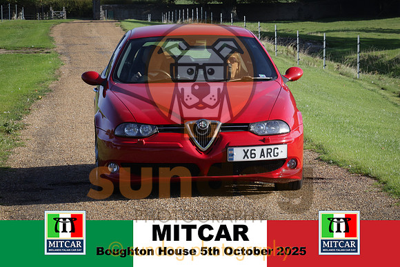131-IMG-2
