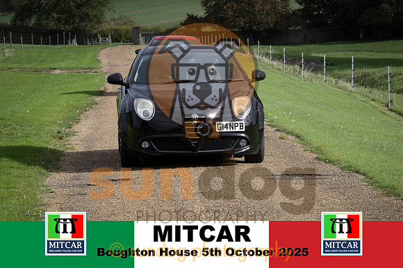 203-IMG-2
