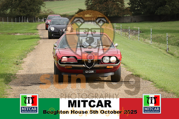 202-IMG-2
