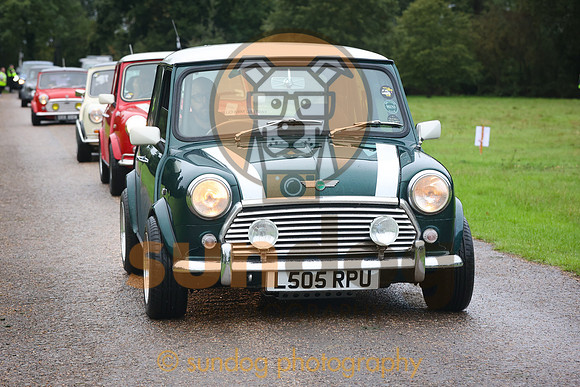 59-SUN