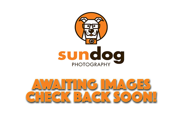 Gallery holding image