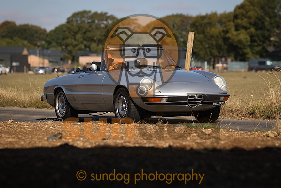 317-SUN